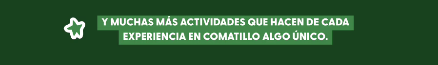 Campamento Comatillo - Captura de pantalla 2026 03 22 a las 11.31.25 a. m