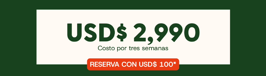 Campamento Comatillo - Captura de pantalla 2026 03 22 a las 11.39.38 a. m